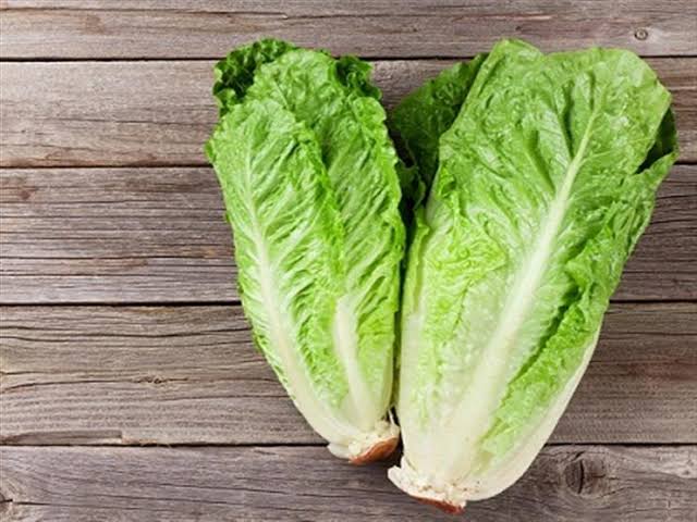 Lettuce