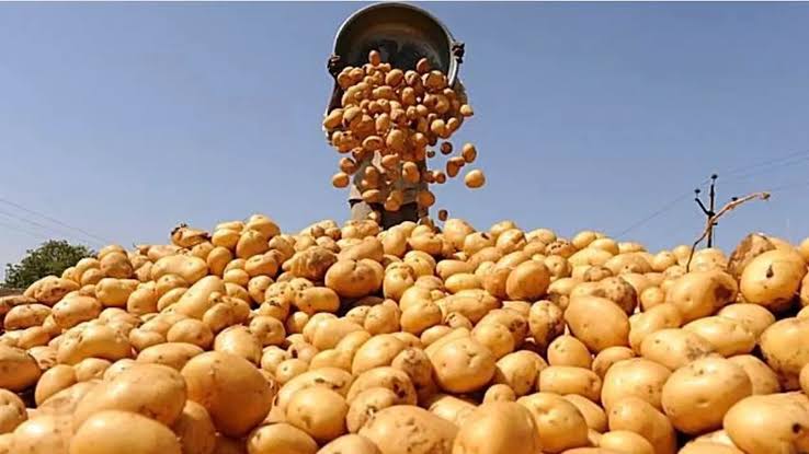 Potatoes